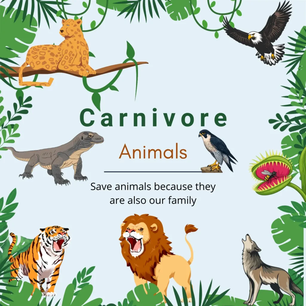 Carnivorous Animals Name Lists | Animals Chart carnivore animals