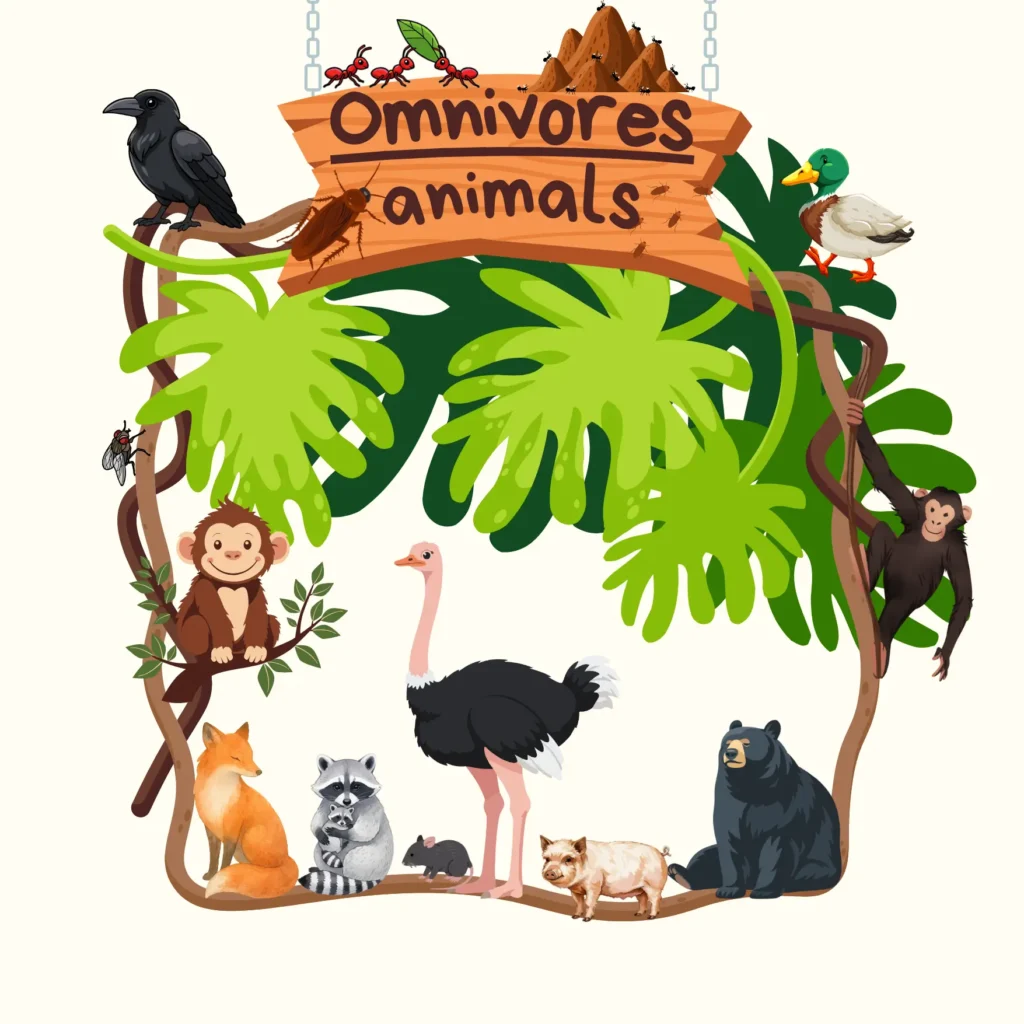 List of Animals that are Omnivores Pictures | Names omnivore animals
