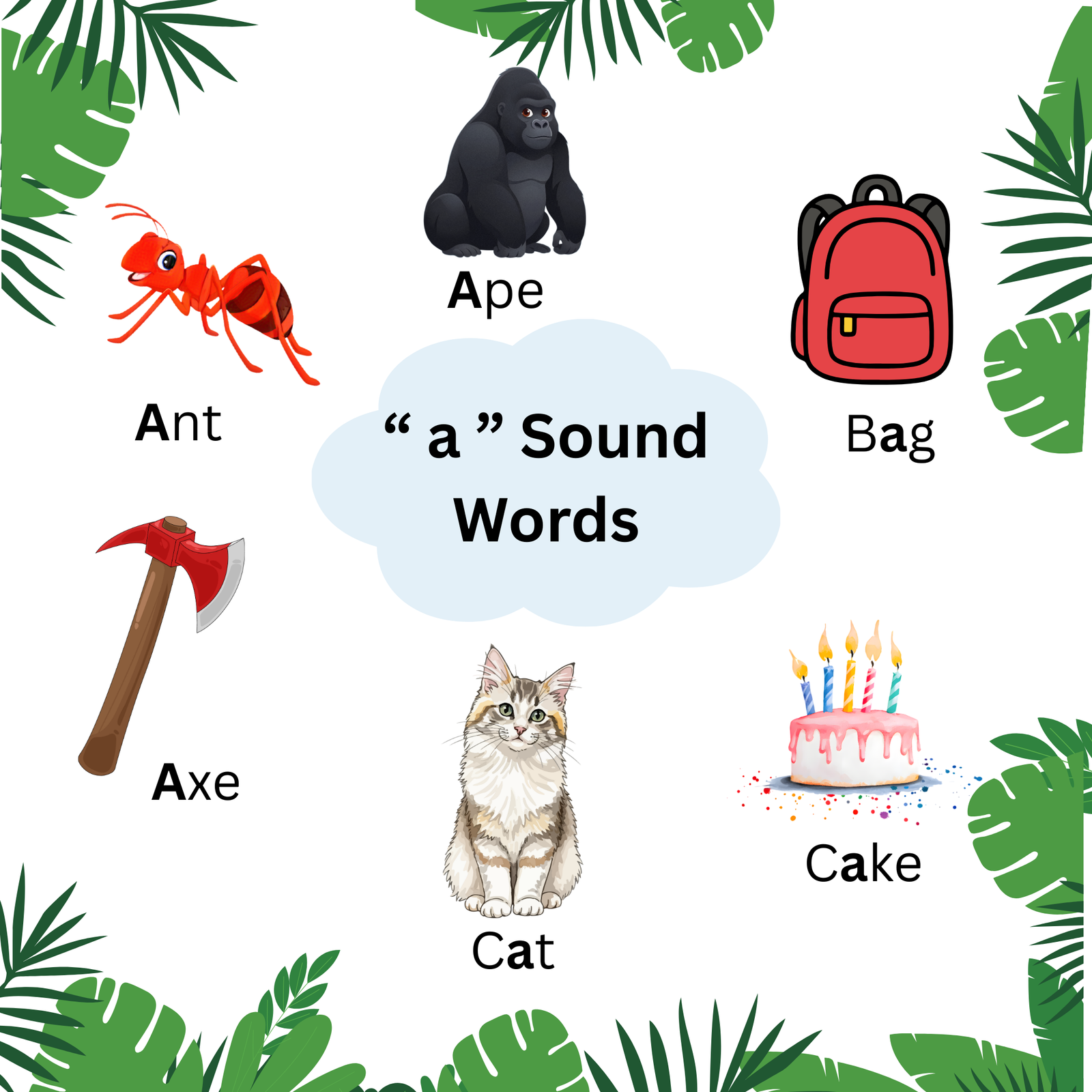 Short a words | Long a sound | List & Worksheets (Free) - Amaltas Forest