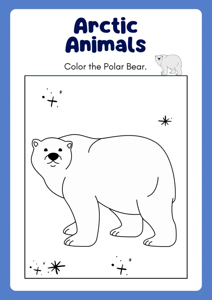 carnivorous animals drawing 