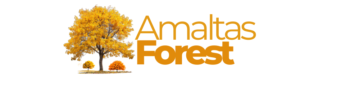 amaltasforest.com