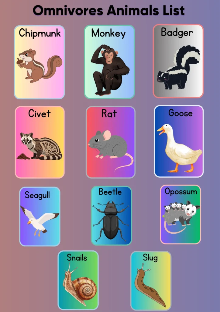 omnivores animals list 