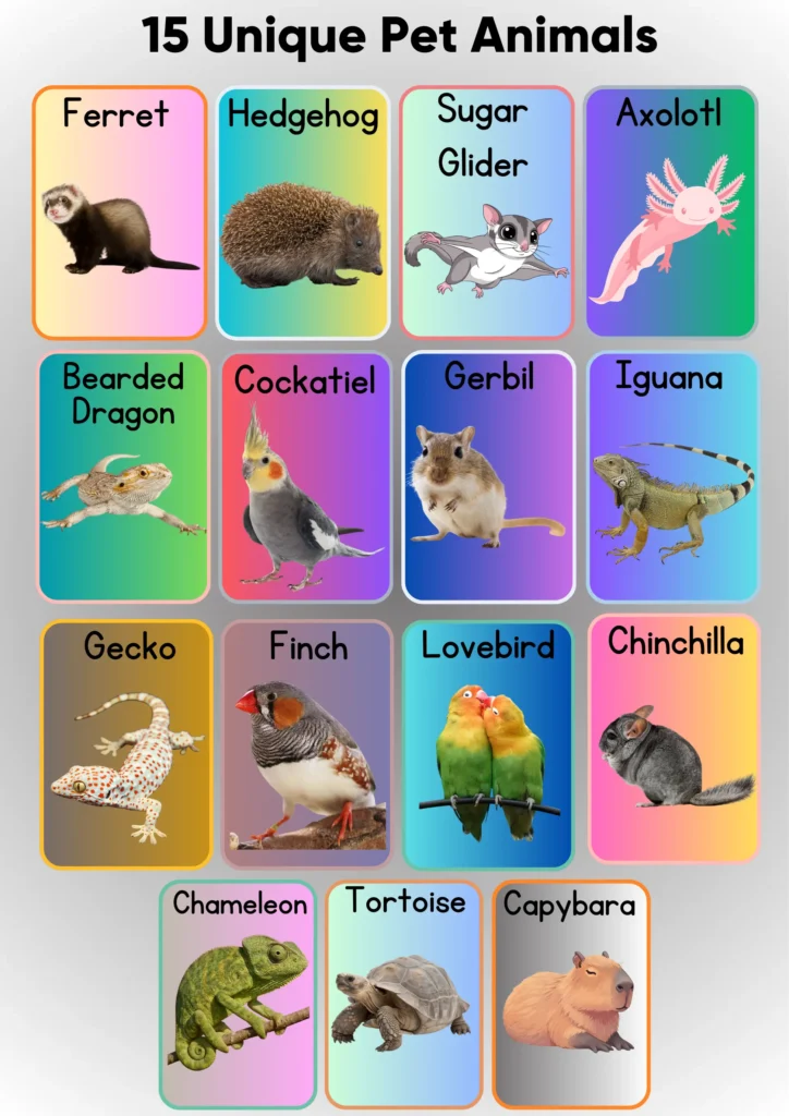 15 unique pet animals 