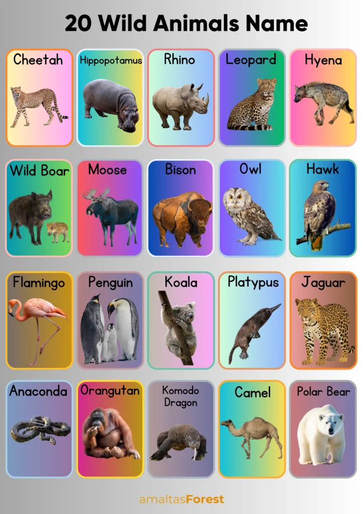 20 wild animals name 