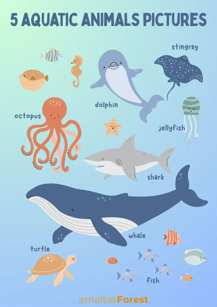 5 aquatic animals pictures