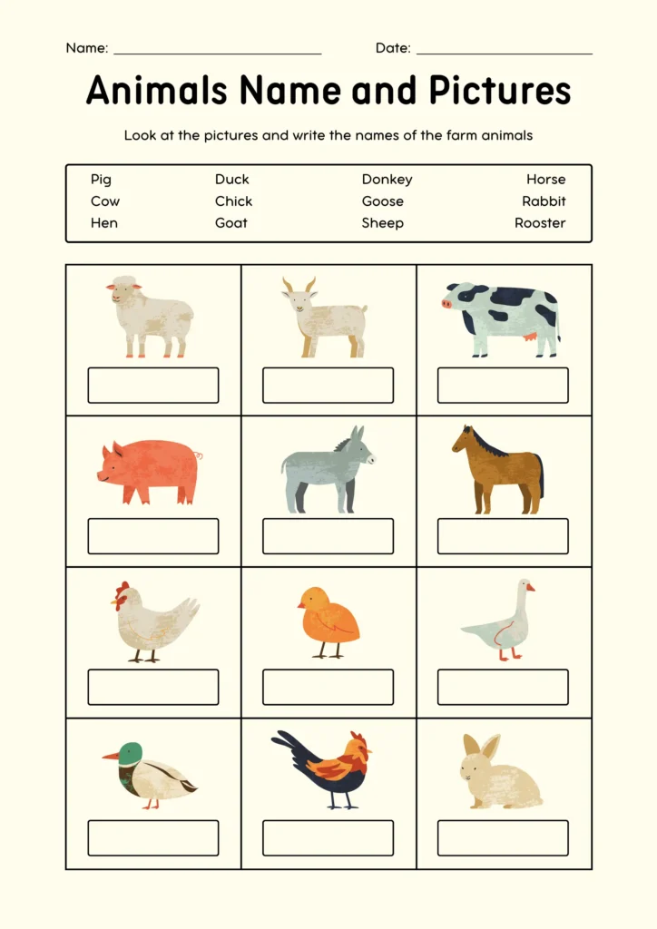 animals name and pictures (2)