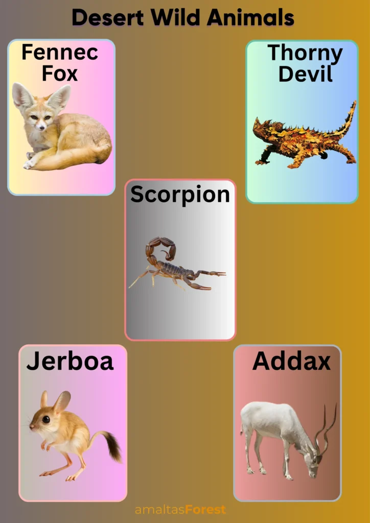 desert wild animals 
