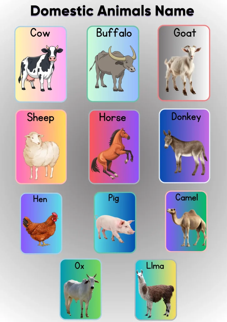 domestic animals name 
