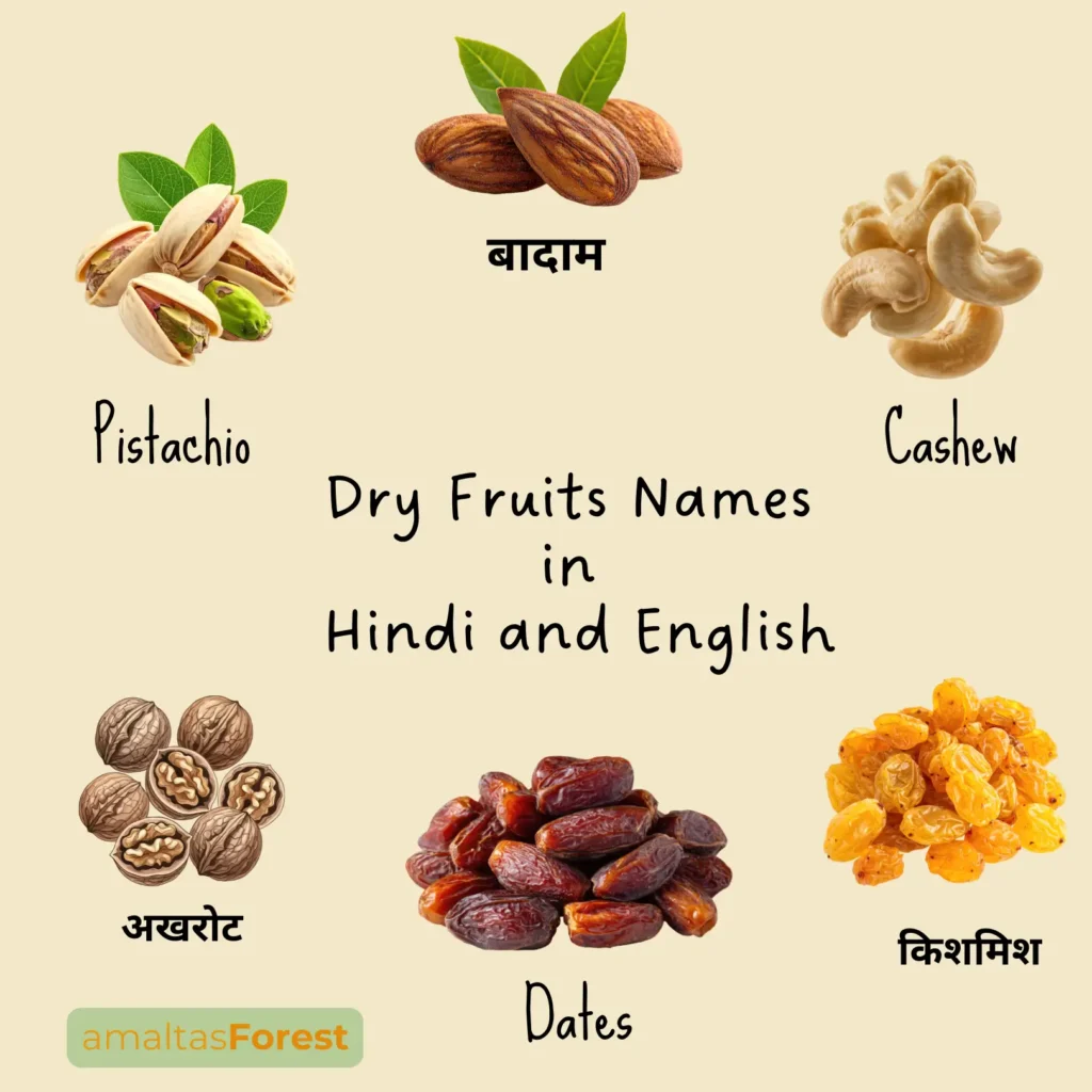 List of 50+ Dry Fruits Names in English and Hindi dry fruits names in hindi and english