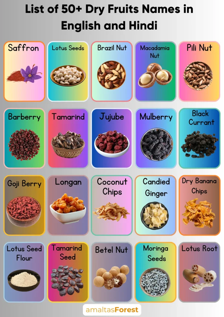 List of 50+ Dry Fruits Names in English and Hindi dry fruits names and pictures