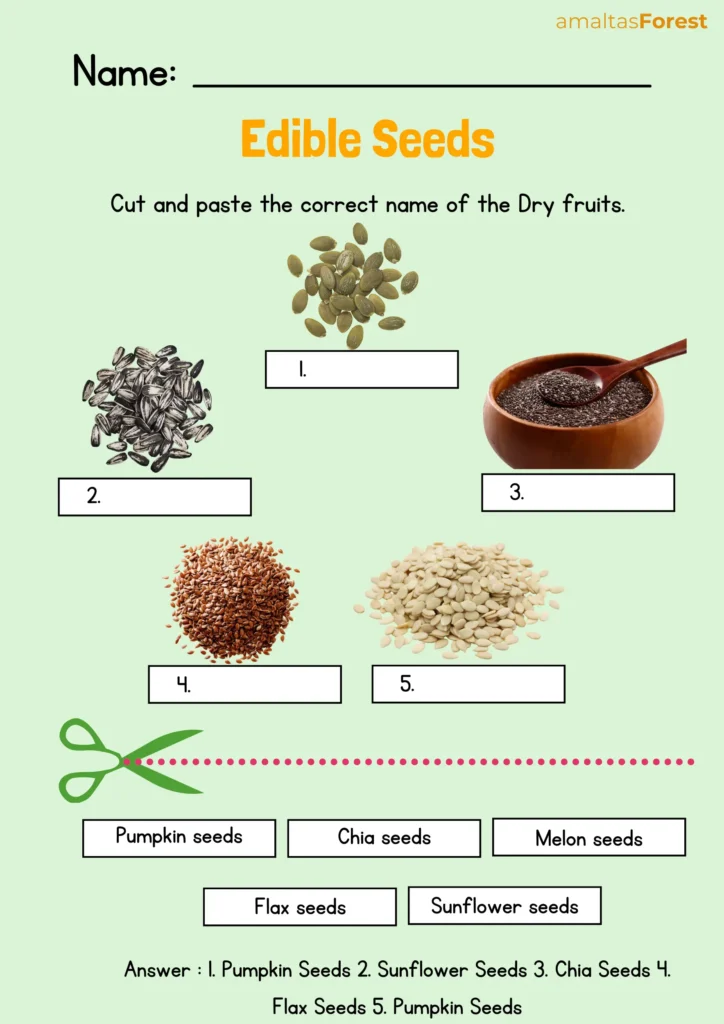 List of 50+ Dry Fruits Names in English and Hindi dry fruits with names and images edible seeds