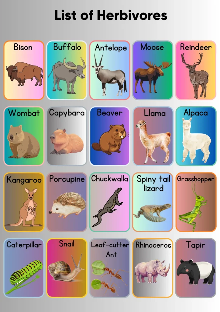 Herbivorous Animals Names | Meaning and Pictures list of herbivores