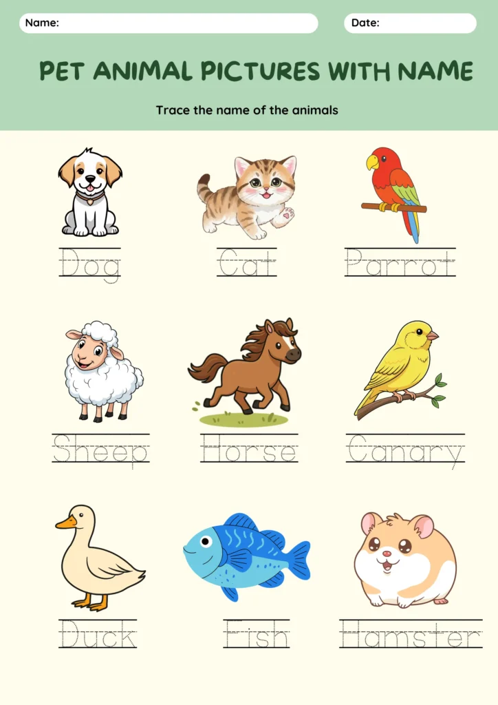 pet animal pictures with name worksheet