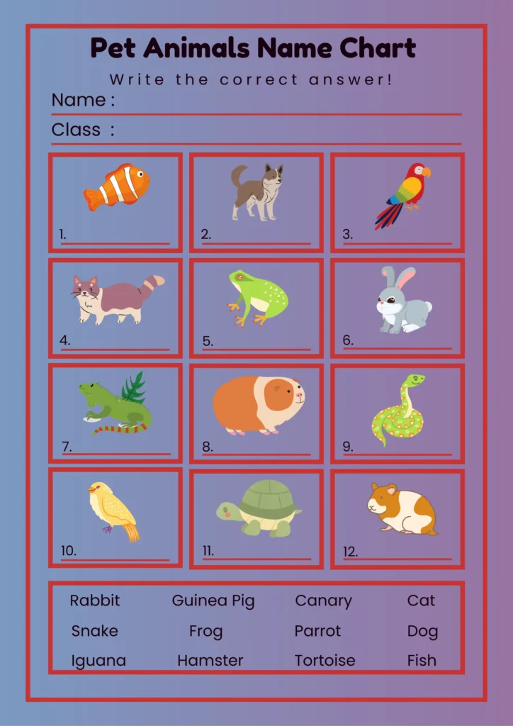 pet animals name chart (1)