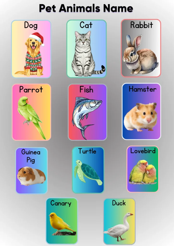 pet animals name english 