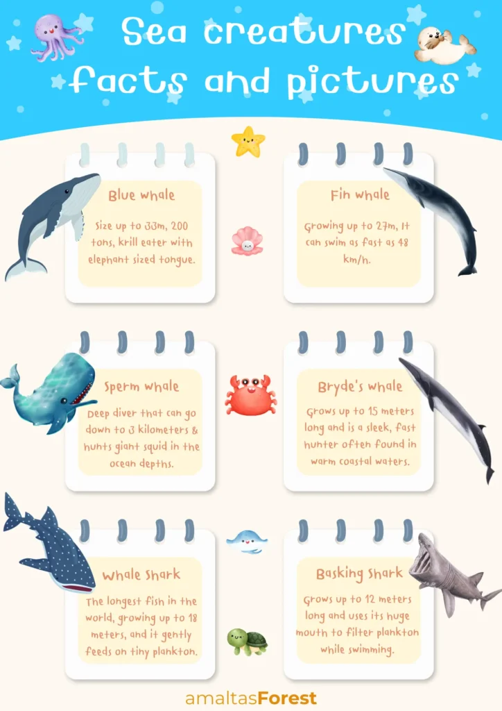 sea creatures facts and pictures