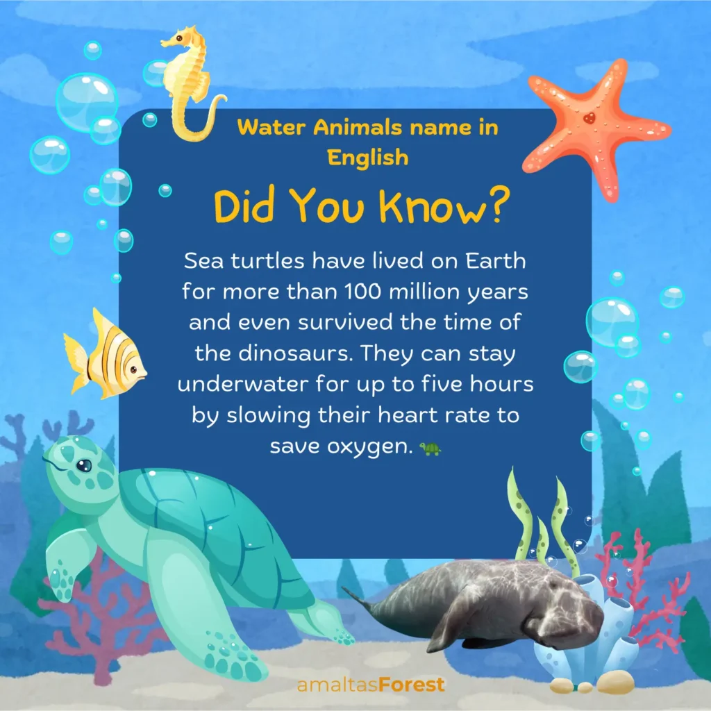 Water Animals Name Pictures in English & Hindi water animals name in english
