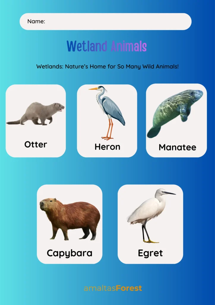 wetland animals 