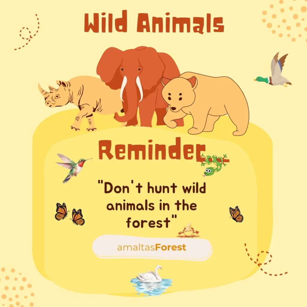 Wild Animals Name and Picture : Lists | Facts wild animals