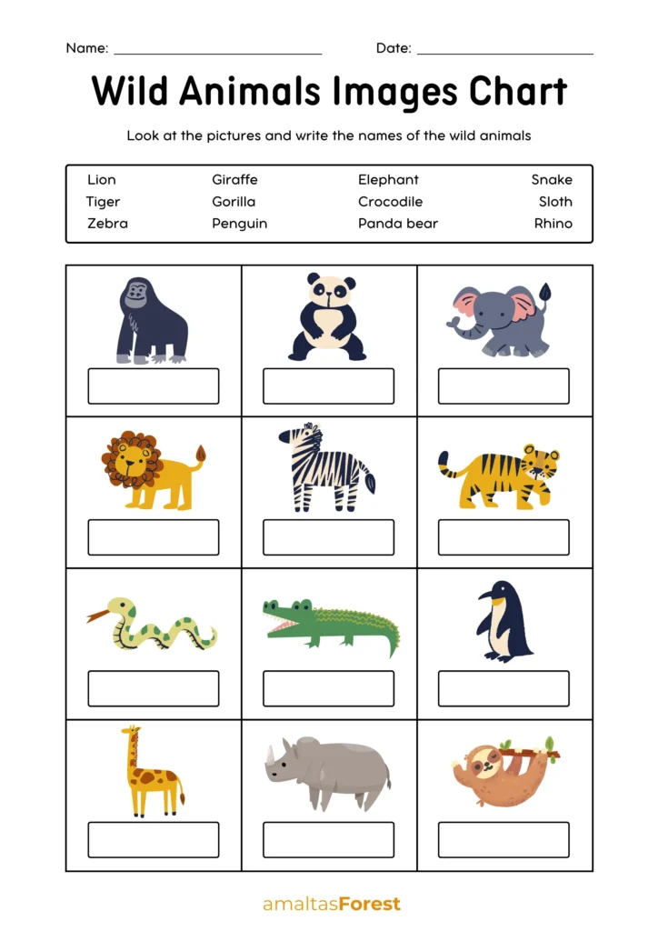 wild animals images chart 