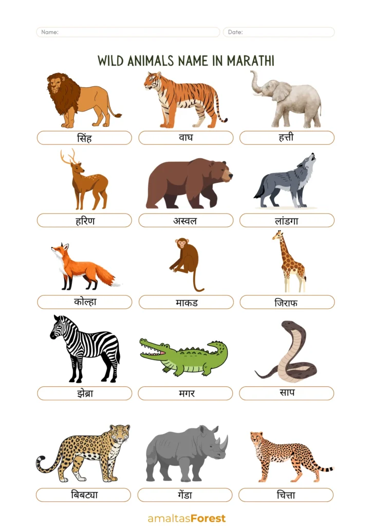 wild animals name in marathi
