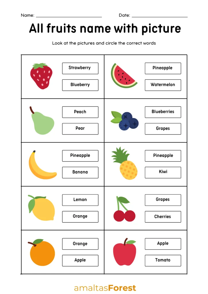 Fruits Name in English and Hindi with Pictures all fruits name with picture
