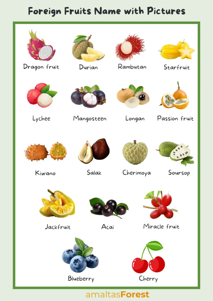 Fruits Name in English and Hindi with Pictures foreign fruits name with pictures