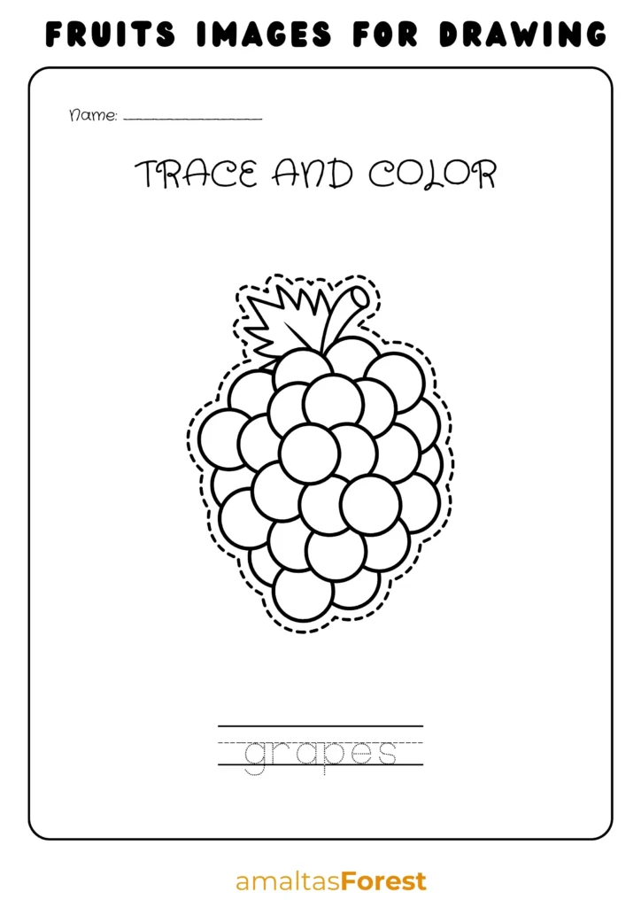 Fruits Name in English and Hindi with Pictures fruits images for drawing