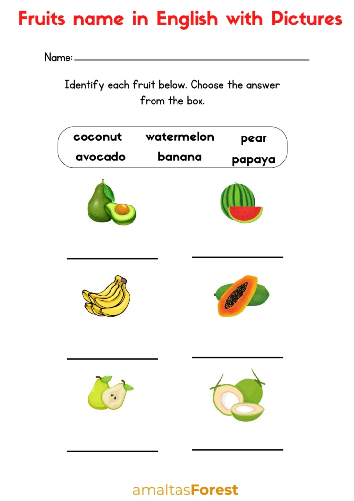 Fruits Name in English and Hindi with Pictures fruits name in english with pictures