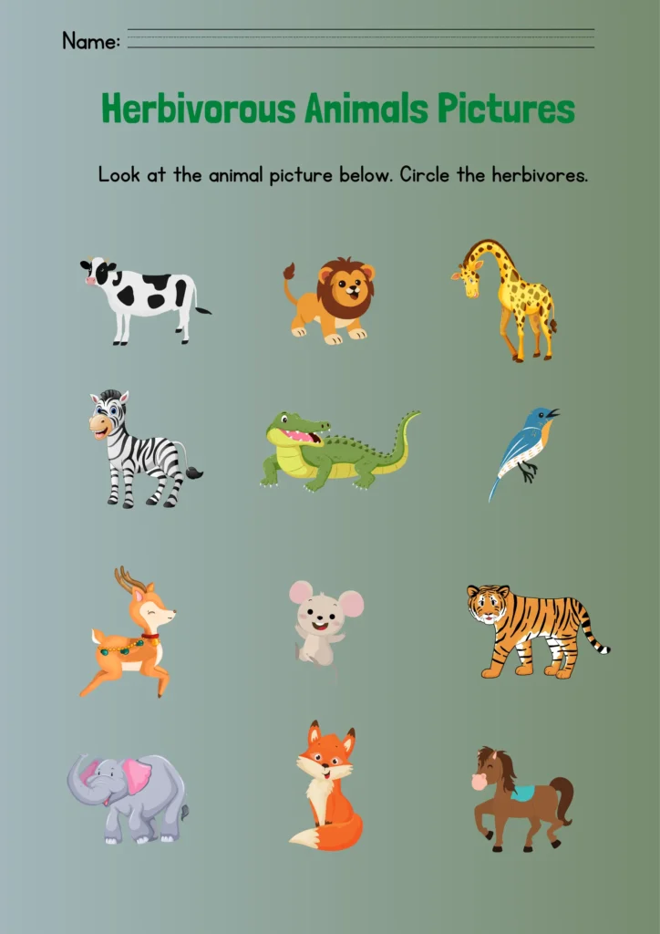 Herbivorous Animals Names | Meaning and Pictures herbivorous animals pictures