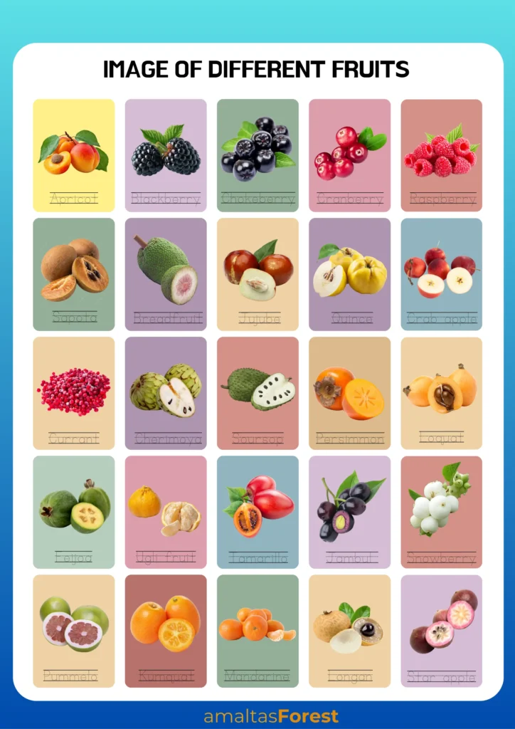 Fruits Name in English and Hindi with Pictures image of different fruits