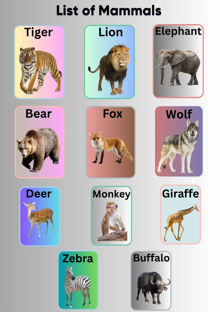 list of mammals