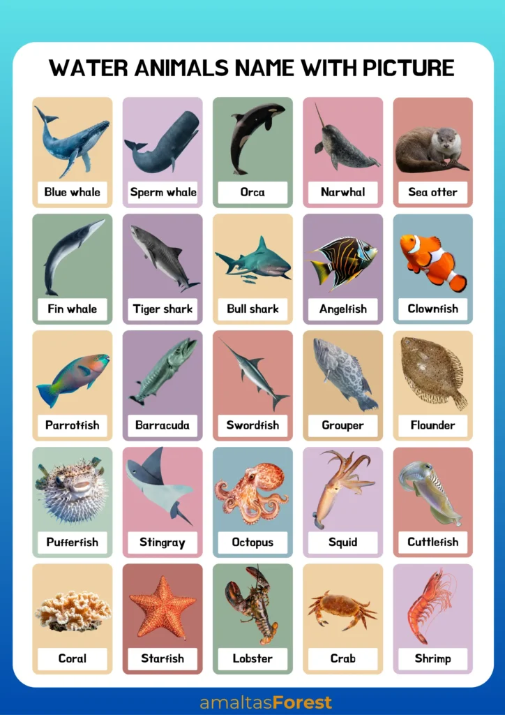 water animals name with picture
