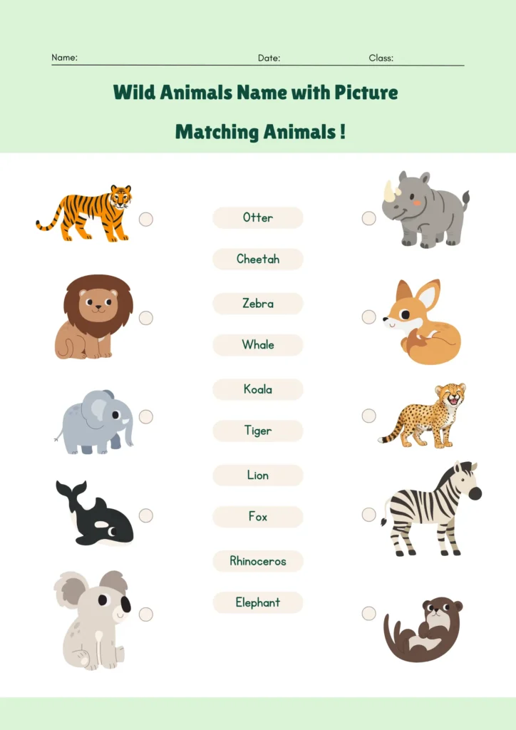 wild animals name with picture