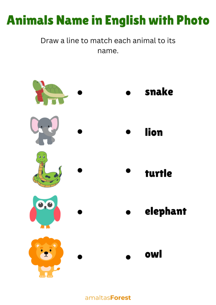 animals name in english with photo