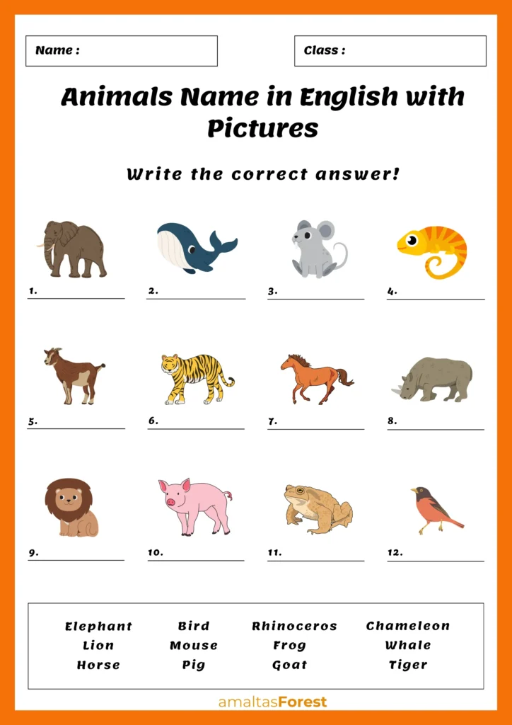 animals name in english with pictures