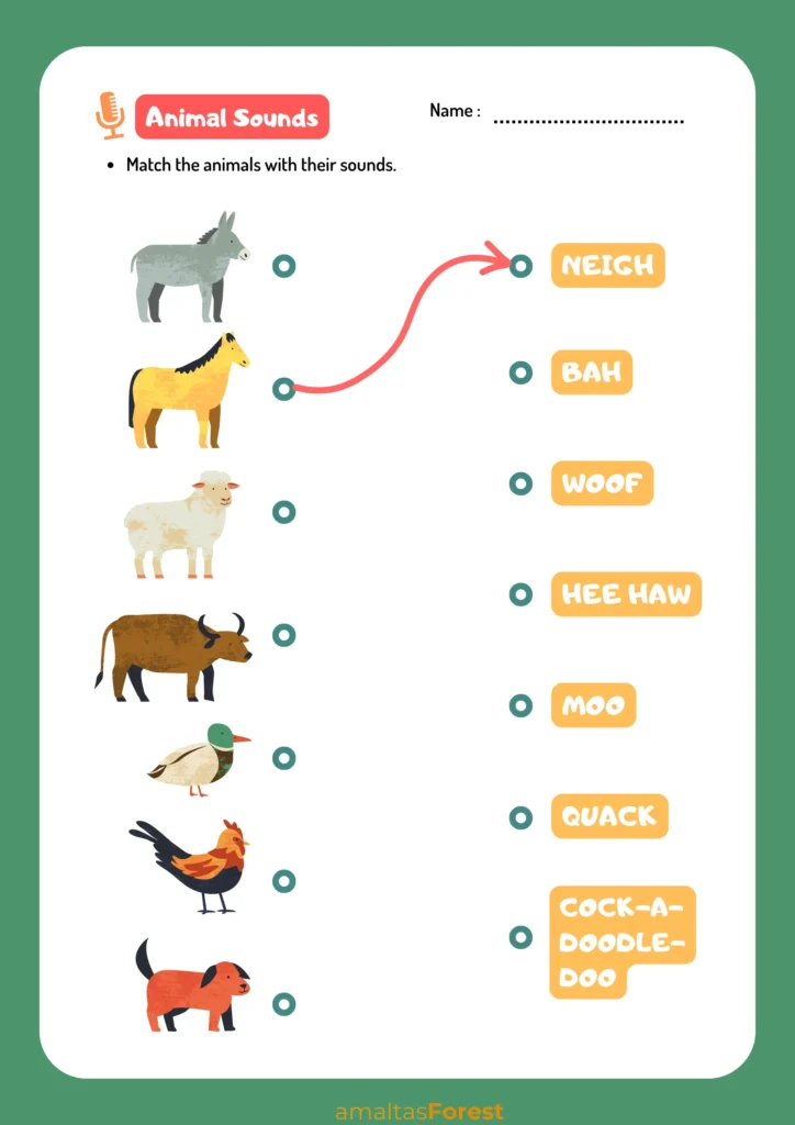 animals pictures with sounds