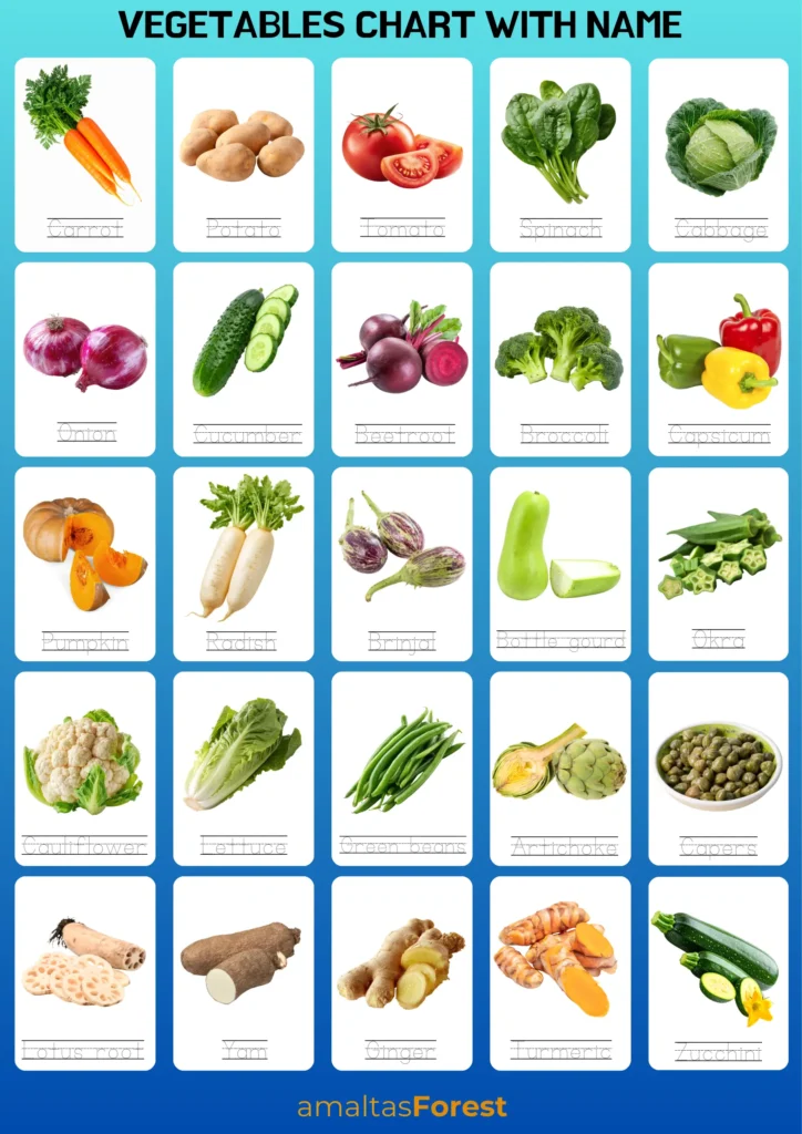 100 Vegetables Name in English & Hindi chart of vegetables name