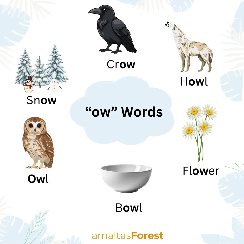 ow sound words pictures