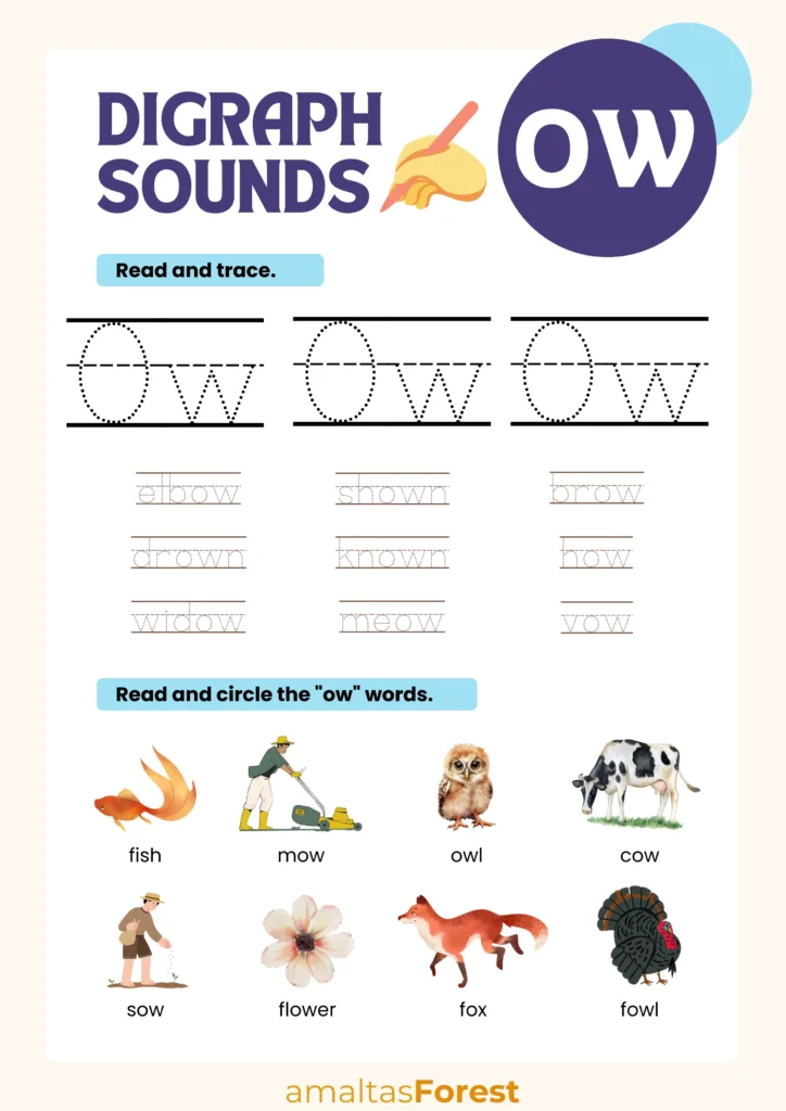 ow worksheet