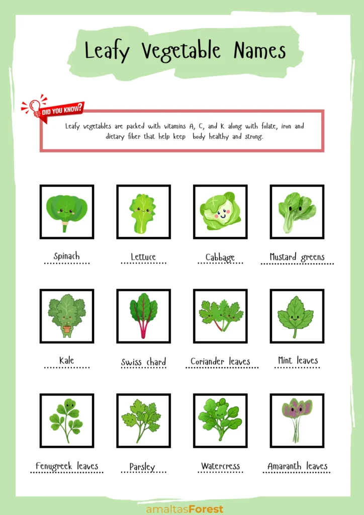 100 Vegetables Name in English & Hindi pictures of green vegetables with names