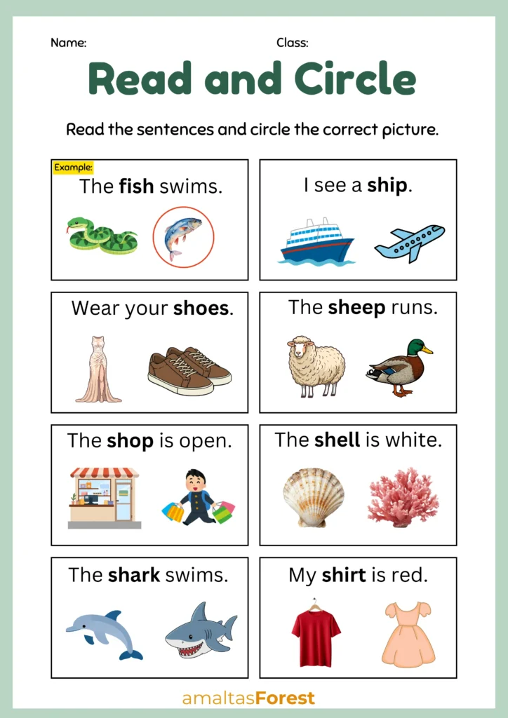 sh phonics worksheets
