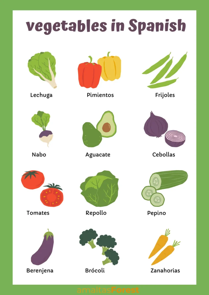 100 Vegetables Name in English & Hindi vegetables in spanish with pictures