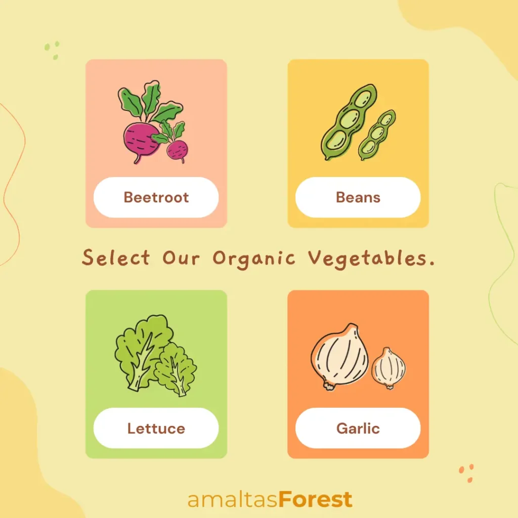 100 Vegetables Name in English & Hindi vegetables name in english with pictures