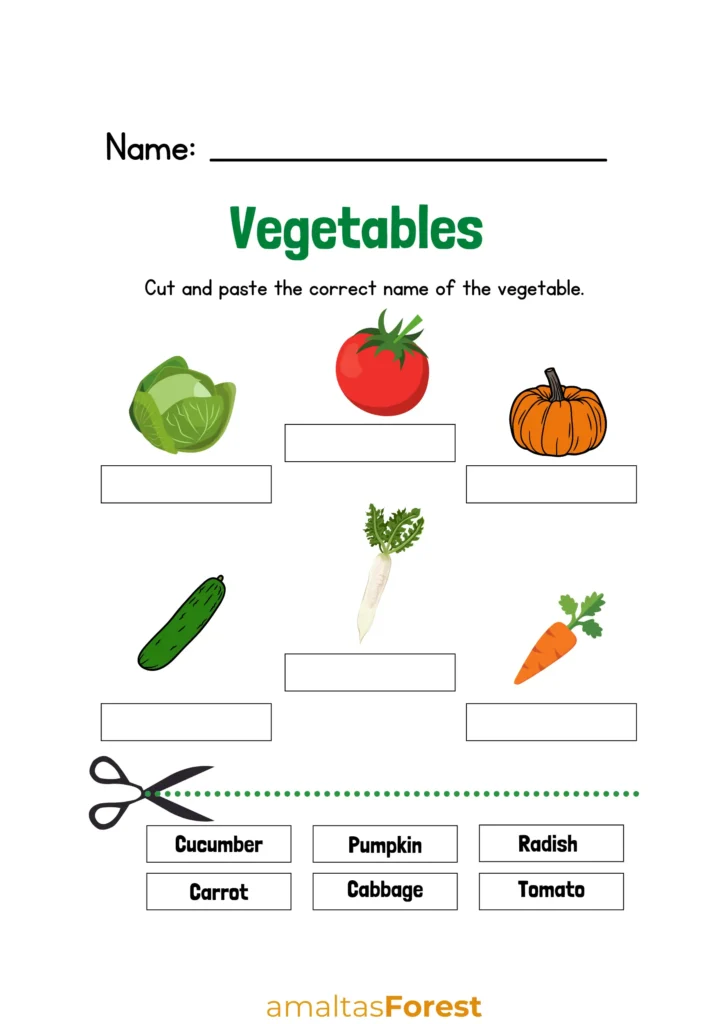 100 Vegetables Name in English & Hindi vegetables pictures to print