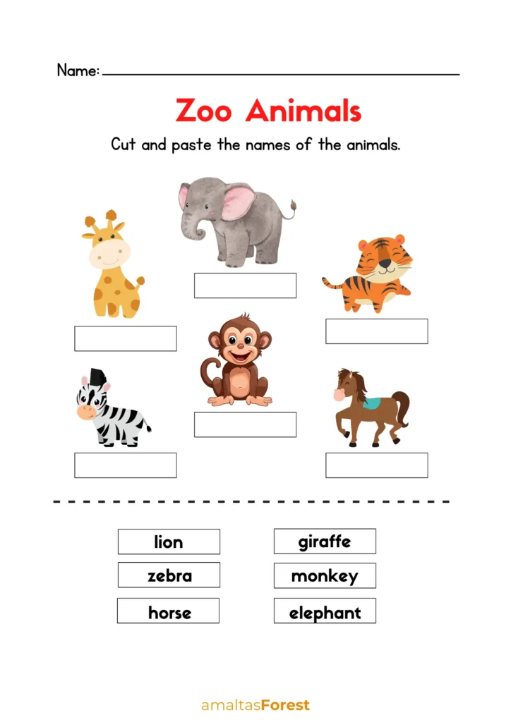 zoo animals pictures with names