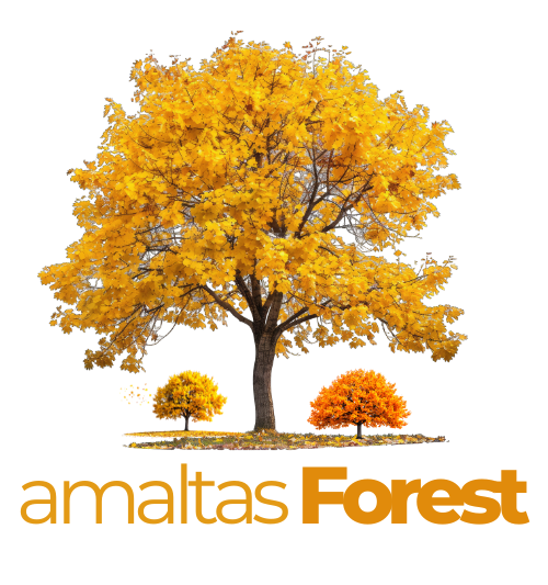 amaltas forest logo