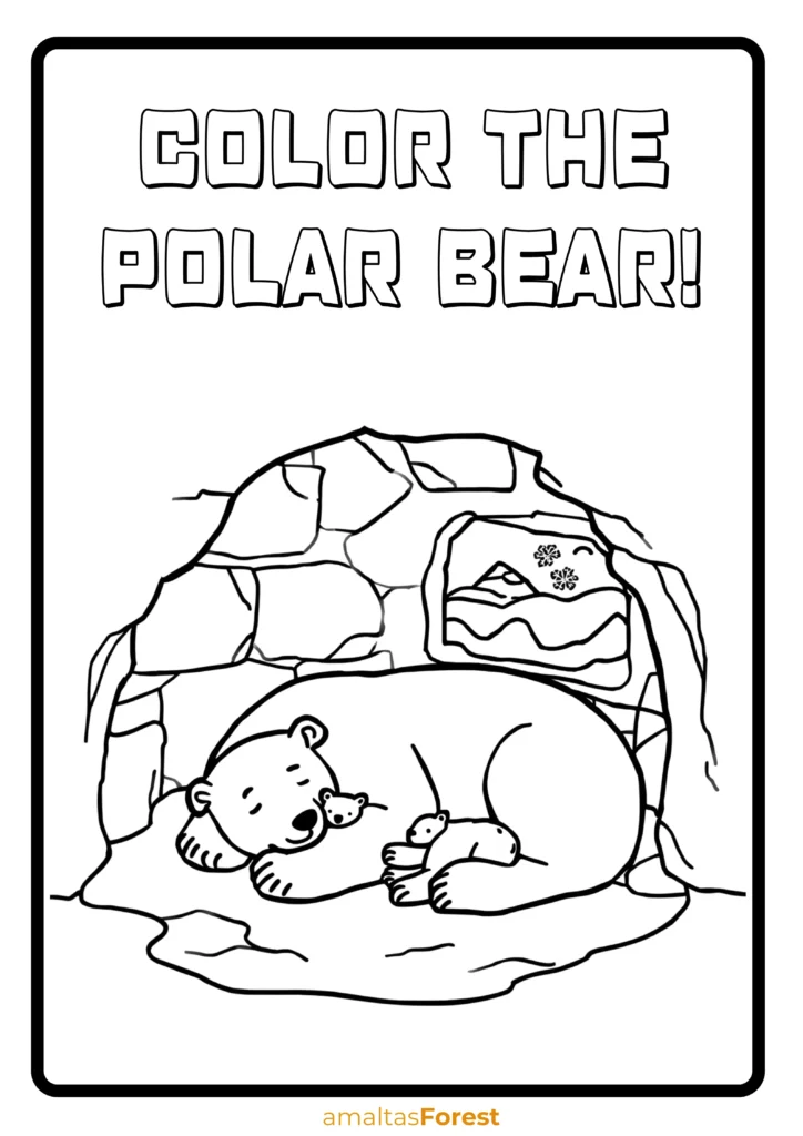 color the polar bear carnivorous animal