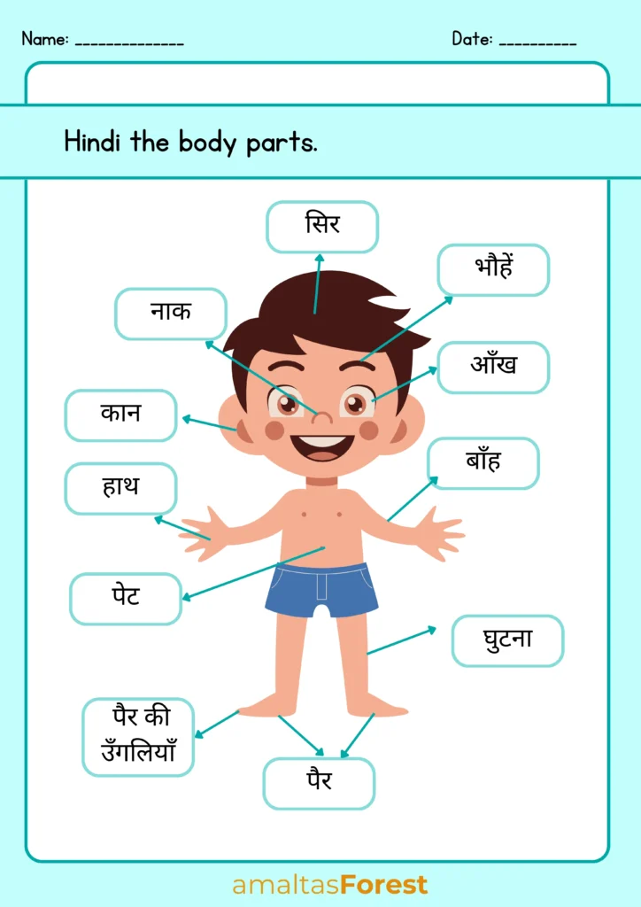 human body parts name with picture in hindi