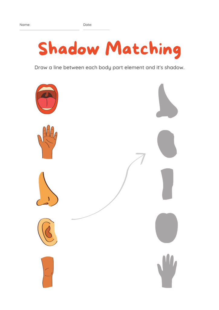 body parts names with pictures